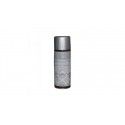 Spray Galvazinc Pinty plus 520 ml
