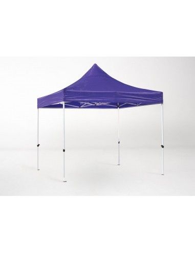 Carpa MASTER 2x2 metros de acero...